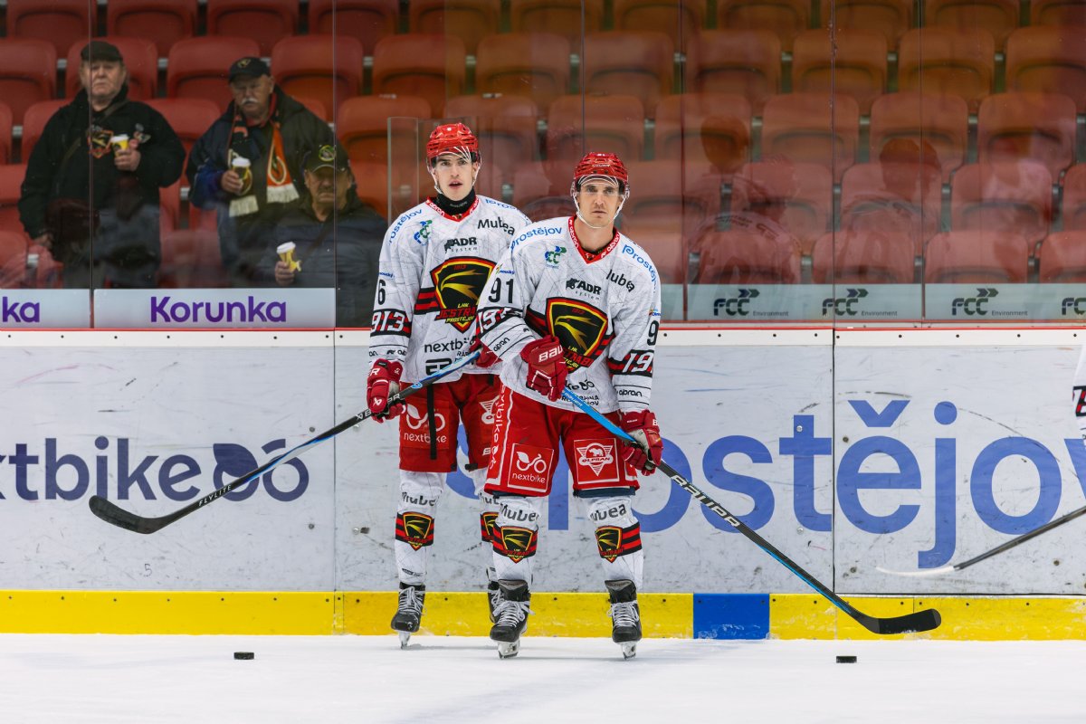 Jestbi pivtaj na domcm led Opavu