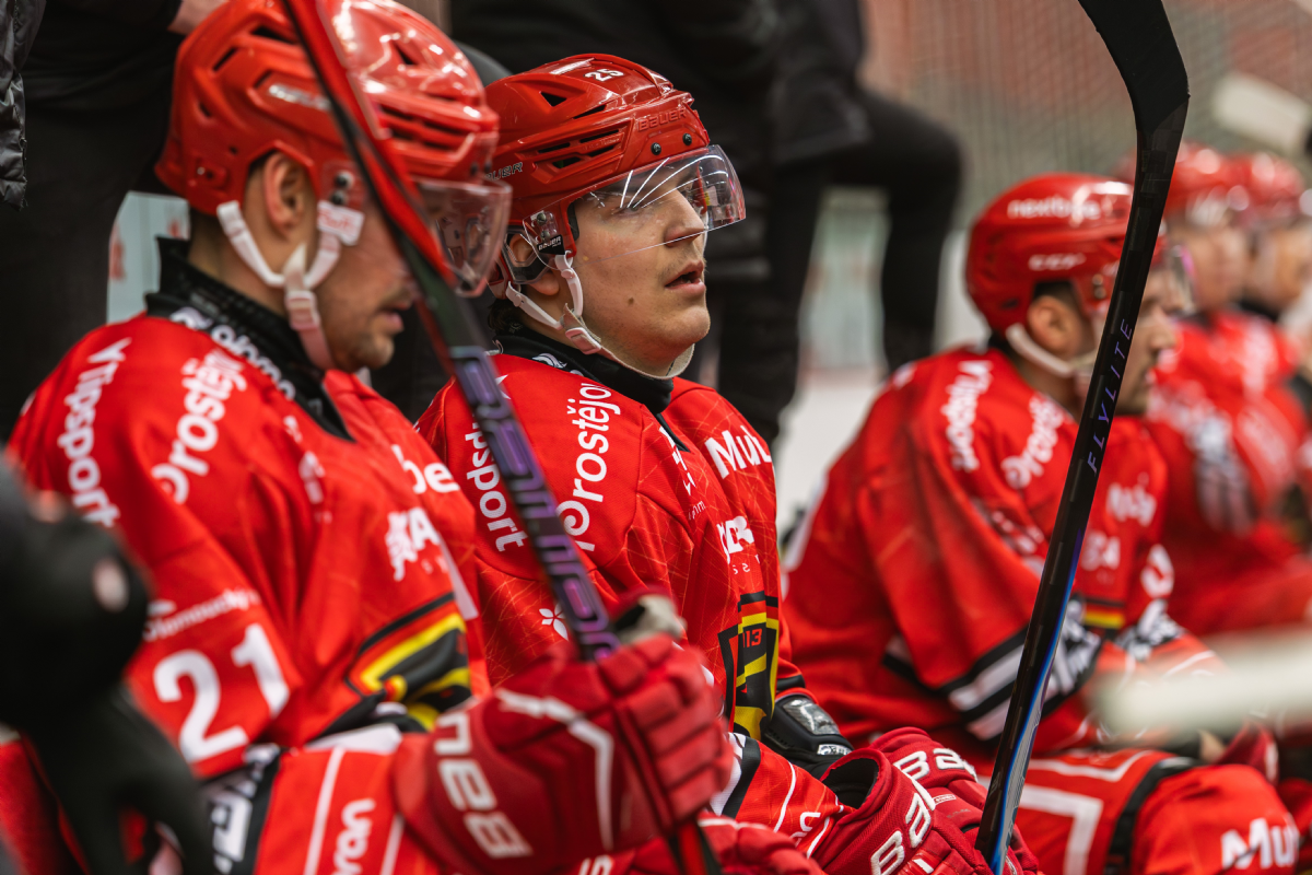 Jest��bi vezou z Vala�ska bod. Bob�i rozhodli a� n�jezdy.